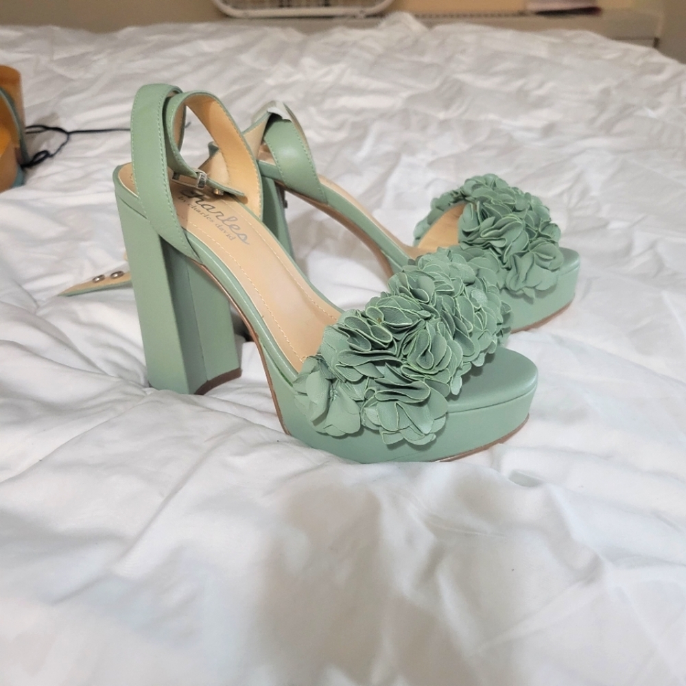 Charles David pump shoes , size 6.5